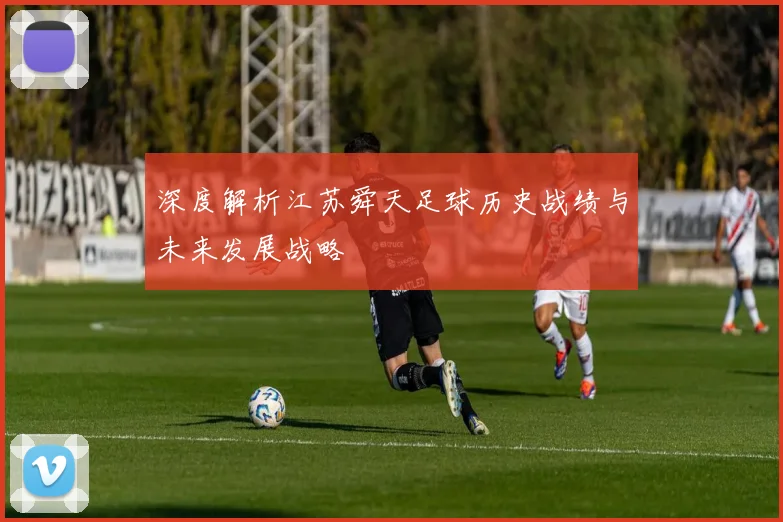 深度解析江苏舜天足球历史战绩与未来发展战略