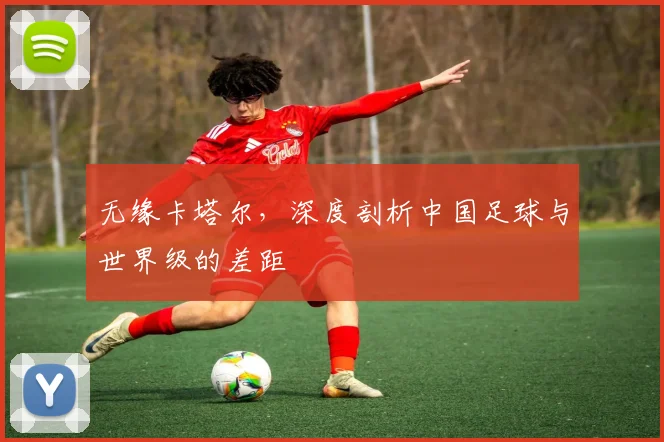 无缘卡塔尔，深度剖析中国足球与世界级的差距