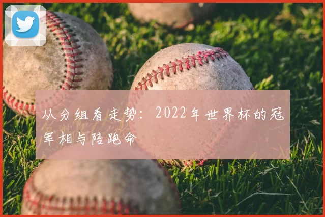 从分组看走势:2022年世界杯的冠军相与陪跑命