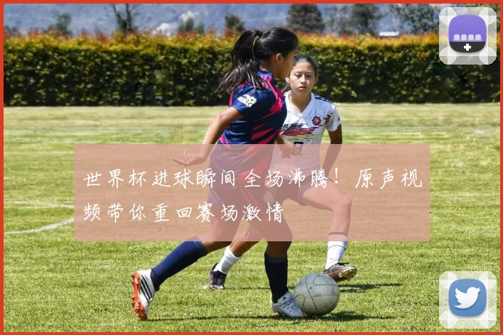 世界杯进球瞬间全场沸腾！原声视频带你重回赛场激情