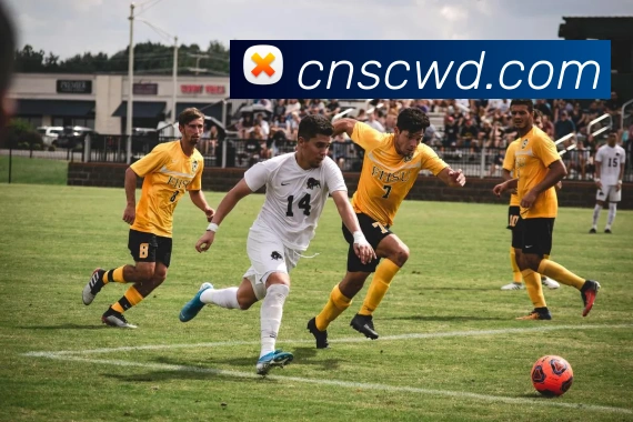 开云在线登录入口app品牌故事