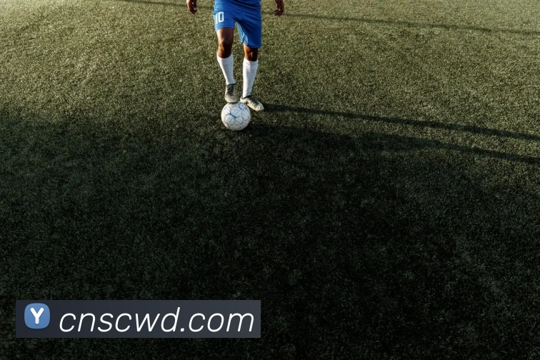 开云在线登录入口appAPP 体育赛事宣传图